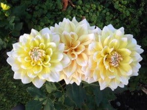 Writing Tip Classics: Dialogue