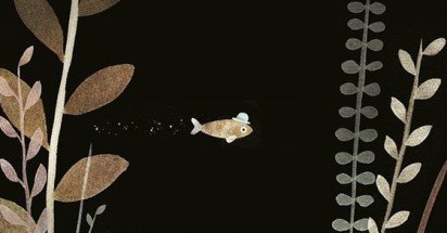 What are the Best Picture Books Starring Fish?